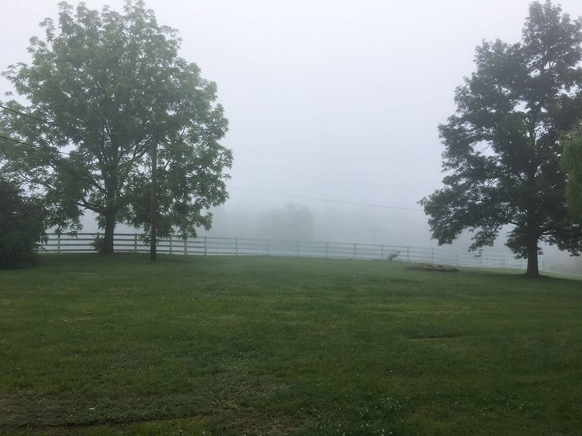 A foggy morning Sidecar Inn
