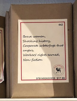 Close up view of "Blind Date with a Book" plain brown wrapper with summary