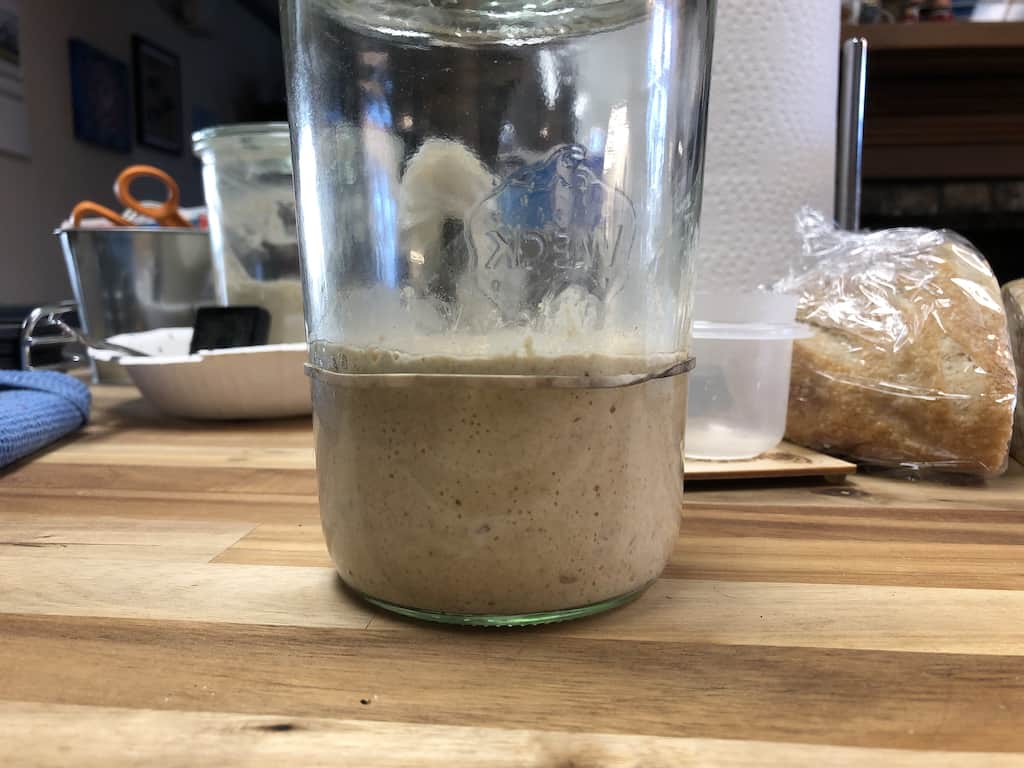 stone ground flour leaven the next morning