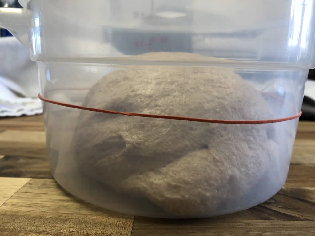 Piedmont loaf dough before bulk fermentation
