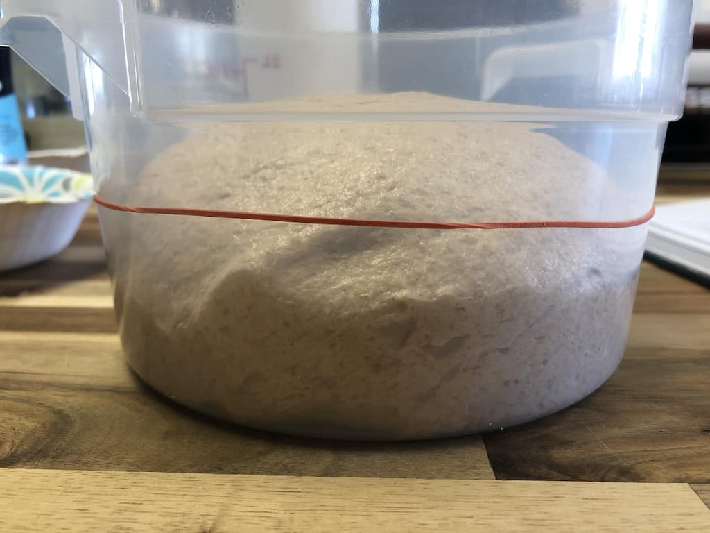 Piedmont loaf dough after bulk fermentation