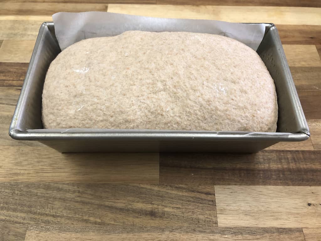 shaped dough placed into oiled and parchment paper lined 8x4 inch loaf pan