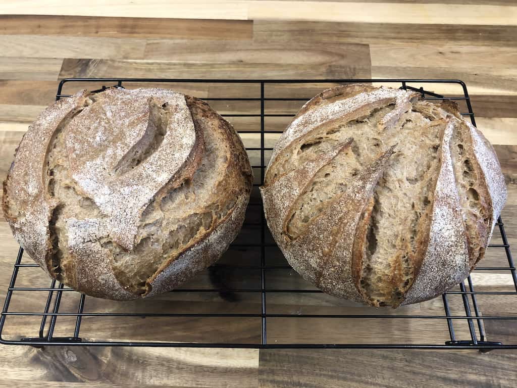 beautiful boules of sourdough made with stone ground flours